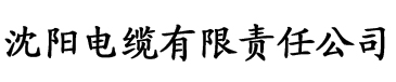 星际之专属符咒师电缆厂logo